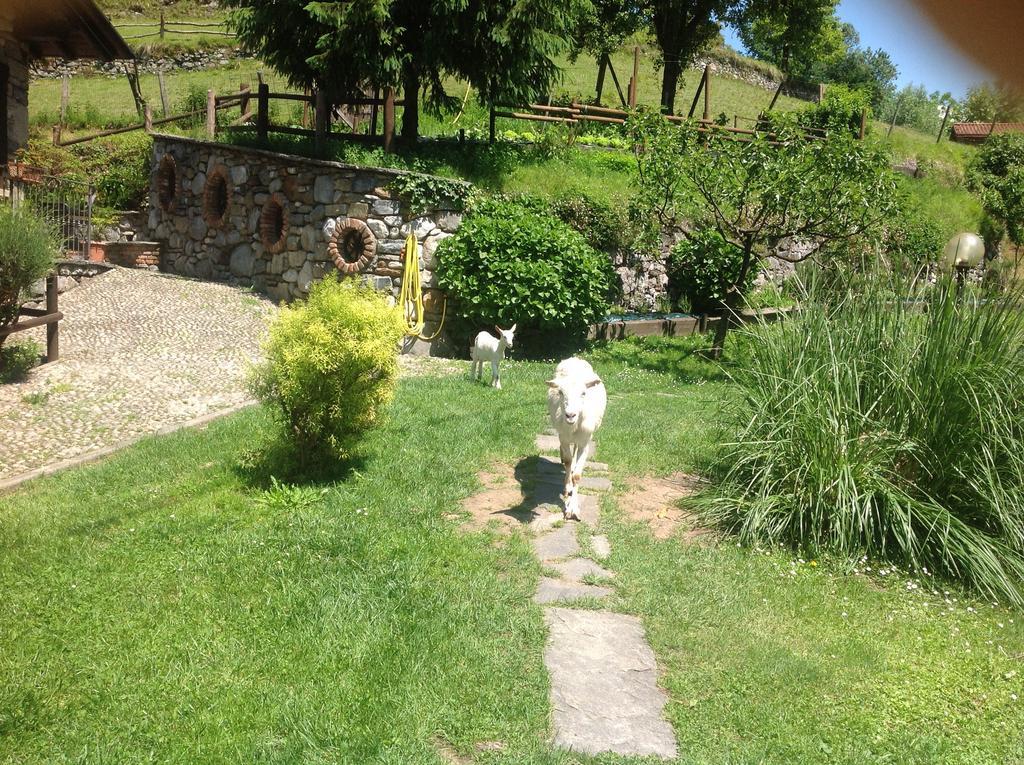 Agriturismo Barcola Grandola ed Uniti Exterior foto